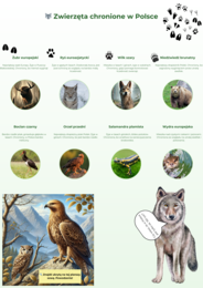 Plansze edukacyjne. Zwierzęta i rośliny chronione. Ekosystemy.