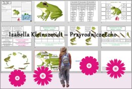 Pomysł na lekcję/karta pracy/stacje zadaniowe/ materiał do lekcji do tematu „Płazy – kręgowce wodno-lądowe” w pdf. W gratisie niekomercyjny scenariusz lekcji/pomysł na lekcję w programie genial.ly do edycji. Biologia 6. Dział „Kręgowce zmiennocieplne”.