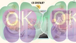 Co Zostaje? – 20 Wyzwań Decyzyjnych i Trening Argumentacji (Prezentacja)