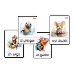 Les animaux sauvages, Dzikie zwierzęta, język francuski, karty obrazkowe i wyrazowe FLE
