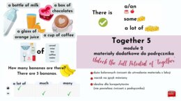 Together 5, unit 2, materiały dodatkowe do podręcznika, rzeczowniki policzalne i niepoliczalne