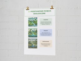 Co to jest ekologia? Podstawowe pojęcia i definicje