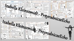 Zestaw sketchnotek – notatek do całego działu „Od parzydełkowców do pierścienic” wykonanych w power point do edycji. Biologia 6