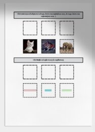 Porządkowanie według określonej zasady. Karta pracy. Sprawdzian.