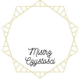 Medal Mistrz Świetlicy