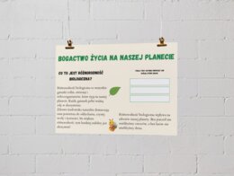 Plakaty edukacyjne. Cykl życia roślin i zwierząt. Różnorodność biologiczna. Jak chronić środowisko? Pięć zasad ekologii.