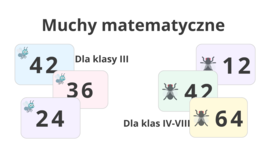 Muchy matematyczne — gra ruchowa z matematyką w roli głównej!