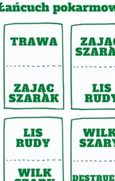 Łańcuchy pokarmowe - domino