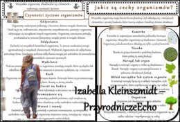 Zestaw sketchnotek/notatek/streszczeń/wklejek/ściąg dla ucznia i nauczyciela w pdf. Biologia 5 dział „Organizacja i chemizacja życia”. Notatki zostały wykonane na podstawie podręcznika z wydawnictwa WSiP.