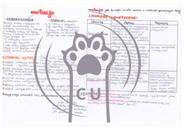 MEGA PAKA: Genetyka & Podziały Komórkowe – Notatki Wizualne: Mitoza, Mejoza, DNA, Krzyżówki genetyczne