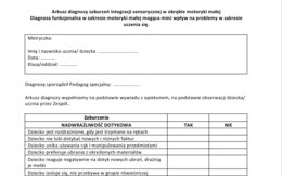 Diagnoza funkcjonalna w zakresie motoryki małej