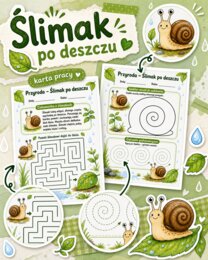 Ślimak po deszczu