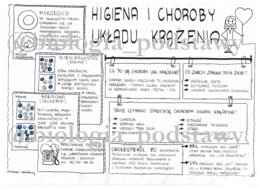 Klasa 7 - Higiena i choroby układu krążenia - sketchnotka