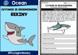Czytam ze zrozumieniem - Rekiny