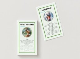 Karty przyrodnicze dla najmłodszych. Gatunki lądowe. Gatunki wodne. Gatunki leśne.