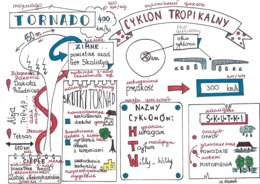 Ameryka klasa 8: ludność, urbanizacja i USA, Wilgotny las równikowy klasa 5 - sketchnotki z tłumaczeniem na j. ukraiński