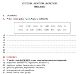 Antonimy - homonimy - synonimy. Karta pracy