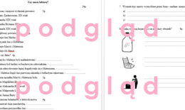 "Ania z Zielonego Wzgórza" - test, kartkówka ze znajomości lektury + klucz odpowiedzi