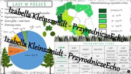 Sketchnotka - notatka „Lasy w Polsce” wykonana w power point do edycji. Geografia 7; „Środowisko przyrodnicze Polski”