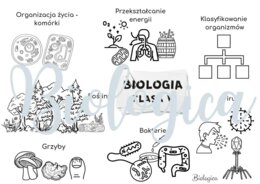O CZYM BĘDĘ SIĘ UCZYŁ W TYM ROKU NA BIOLOGII? Obrazkowe karty na pierwszą lekcję dla klas 5-8.