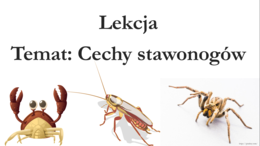 Klasa 6 - Cechy stawonogów - prezentacja