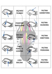 Memory gra to chyba RYBA