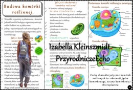 Książeczka/sketchnotka/notatka/wklejka/ściąga dla ucznia i przypomnienie dla nauczyciela/edukacja domowa. Temat „Budowa komórki roślinnej. Porównanie komórki roślinnej z zwierzęcą” w pdf. Biologia 5, dział „Budowa i czynności życiowe organizmów”. Nowość 