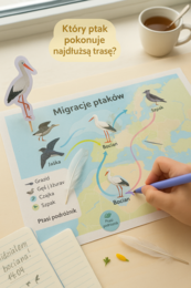 Przyroda budzi się do życia