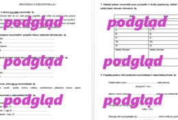 Rzeczownik - sprawdzian dla kl. 5 - 6