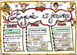 Życie w jeziorze. Kolorowa karta pracy - klasa 4