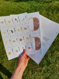 A czy AN? Zestaw gramatyczny dla młodszych uczniów GRAMATYKA