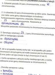 Dziedziczenie płci u człowieka - sketchnotka