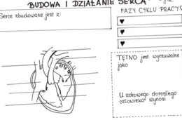 Budowa i działanie serca (karta pracy)