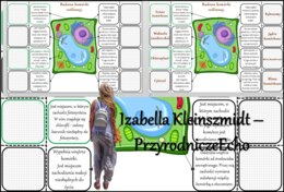 Notatka okienkowa/stacja zadaniowe/notatka/notatka graficzna/karta pracy/sketchnotka „ Plan budowy organizmu zwierzęcego”, „W królestwie zwierząt” w pdf. Biologia 5 dział „Świat zwierząt”. Materiał wykonany na podstawie podręcznika z wydawnictwa Nowa Era