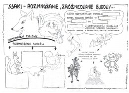 Ssaki - klasa 6 - KP