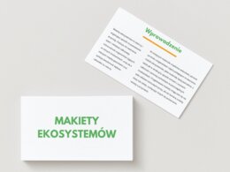Makiety ekosystemów