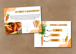 Dzień Marchewki - zestaw