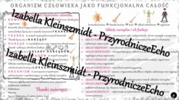 Sketchnotka - notatka „Organizm człowieka jako funkcjonalna całość” wykonana w power point do edycji. Biologia 7; „Organizm człowieka. Skóra”