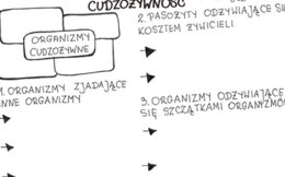 Cudzożywność (karta pracy)