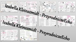 Zestaw sketchnotek – notatek do całego działu „Ekologia” wykonanych w power point do edycji. Biologia 8
