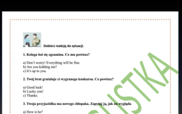 Dobieranie reakcji do sytuacji- nowy króciutki quiz+ KLUCZ