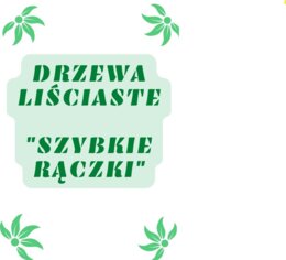 Szybkie rączki - drzewa liściaste