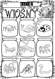 Wiosna - Na tropie wiosny