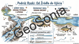 Z biegiem rzeki przyroda klasa 4 sketchnotka