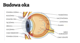 KLASA 3 rozszerzenie - PAKIET NA CAŁY ROK