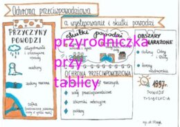 Ochrona przeciwpowodziowa a występowanie i skutki powodzi.
