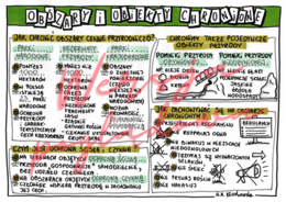 Obszary i obiekty chronione - przyroda klasa 4 -wypełniona karta pracy