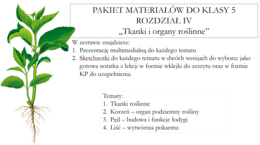 Pakiet materiałów do klasy 5 rozdział IV - Tkanki i organy roślinne