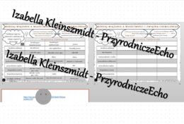 Minizestaw na temat „Wpływ rodzaju wiązania na właściwości związku chemicznego” – sketchnotka + karta pracy w power point + gratisowy link do prezentacji multimedialnej niekomercyjnej wykonanej w genial.ly do indywidualnego pobrania i użycia do celów nie
