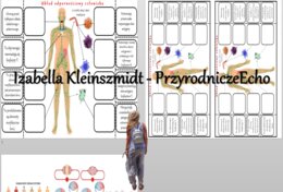 Notatka okienkowa „Budowa i funkcjonowanie układu odpornościowego” w pdf. Biologia 7, dział „Układ krążenia”.